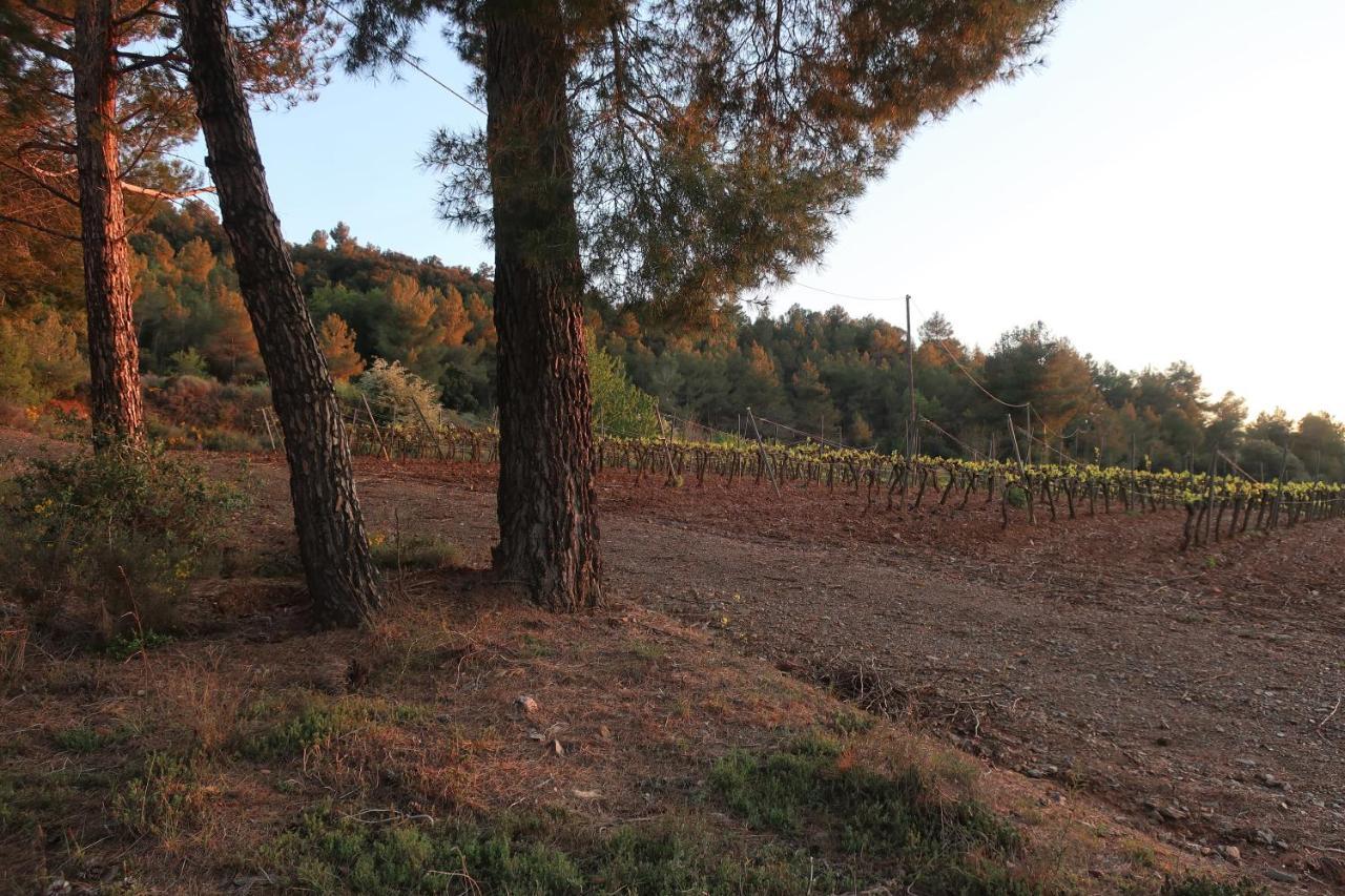 Masia Sagues Poblet Exterior foto